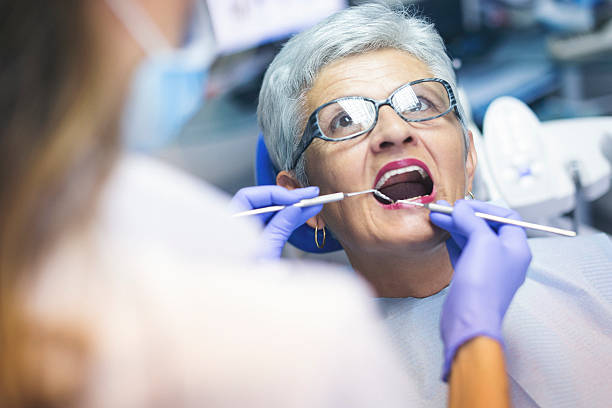 Trusted North Port, FL Holistic Dental Care Services Experts